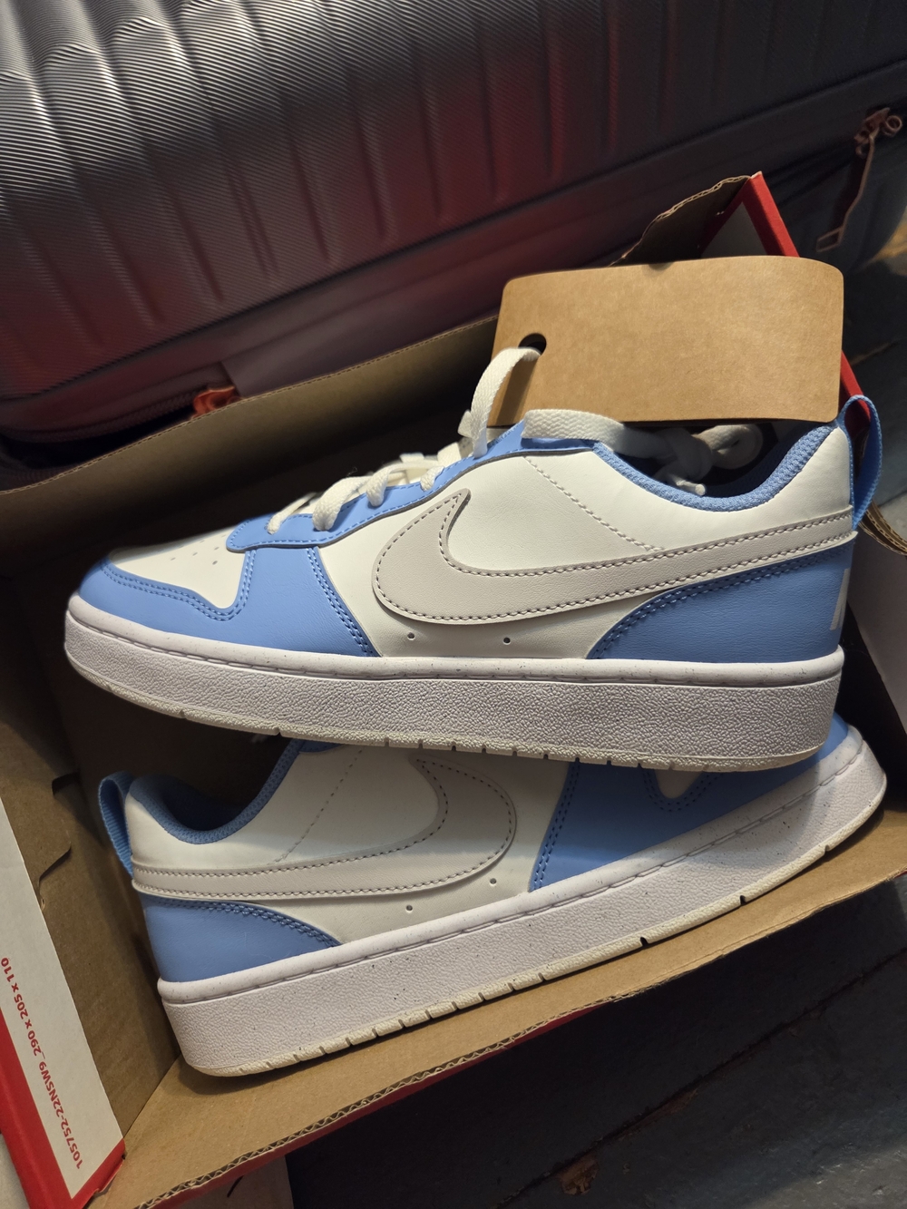 Nike Low-Top Sneakers in White and Light Blue